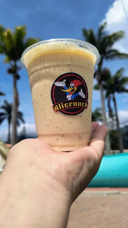 JUGOS EN LECHE